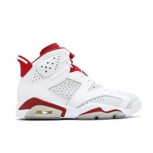 Jordan 6 Retro Alternate Hare